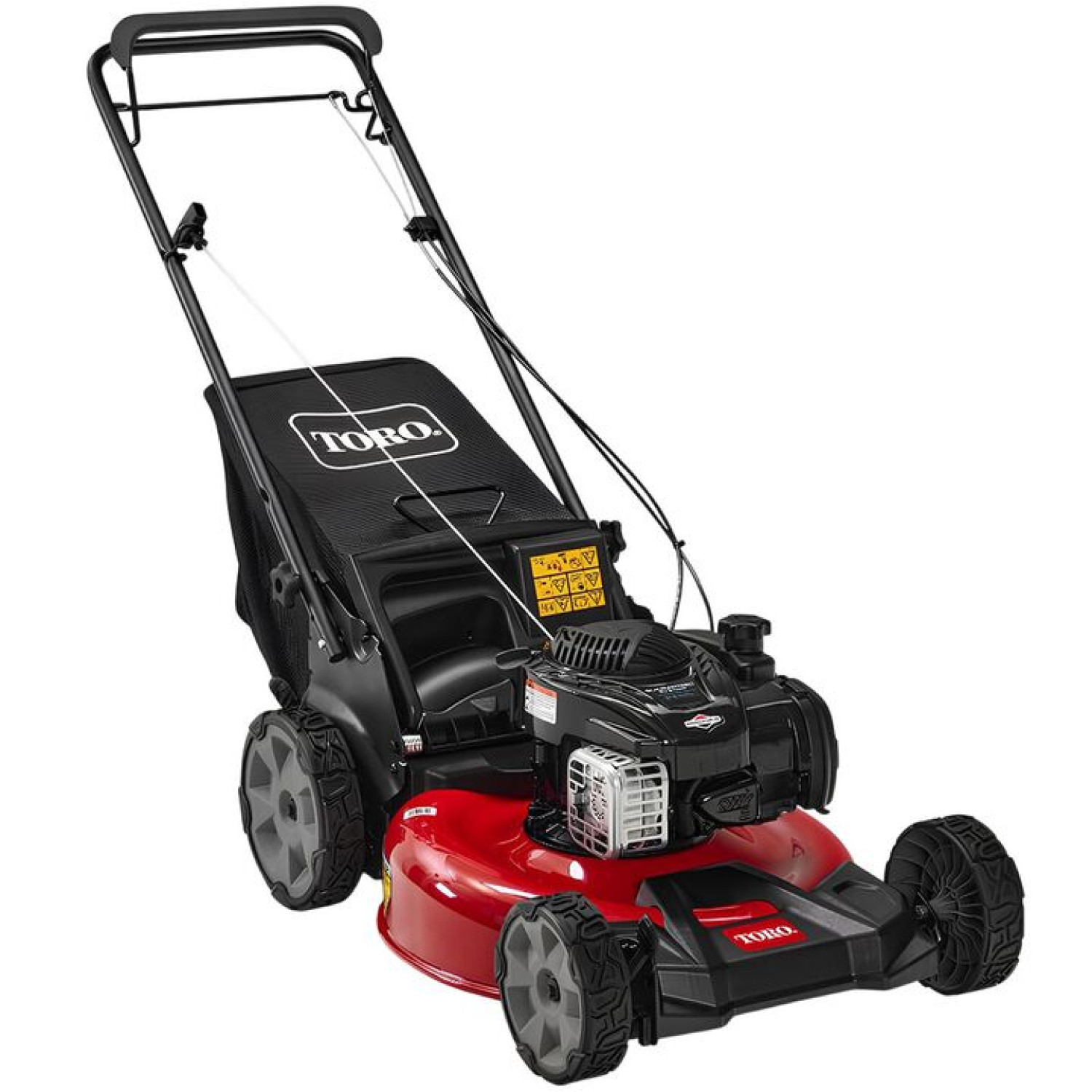 Toro Recycler 21" Gas Push Mower with Briggs & Stratton Engine (21321)