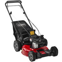 Toro Recycler 21" Gas Push Mower with Briggs & Stratton Engine (21321)